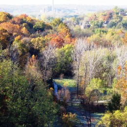 Nature Sanctuary