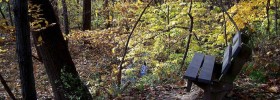 Parkville Nature Sanctuary