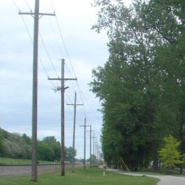 Request for Bids – On-Call Tree Trimming & Removal Services