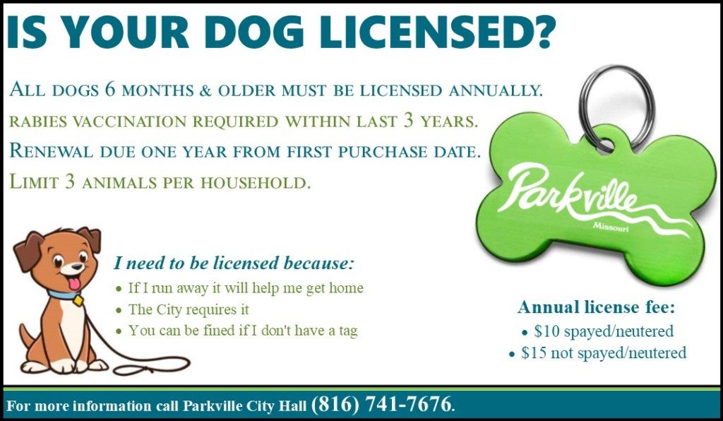 Dog Licenses