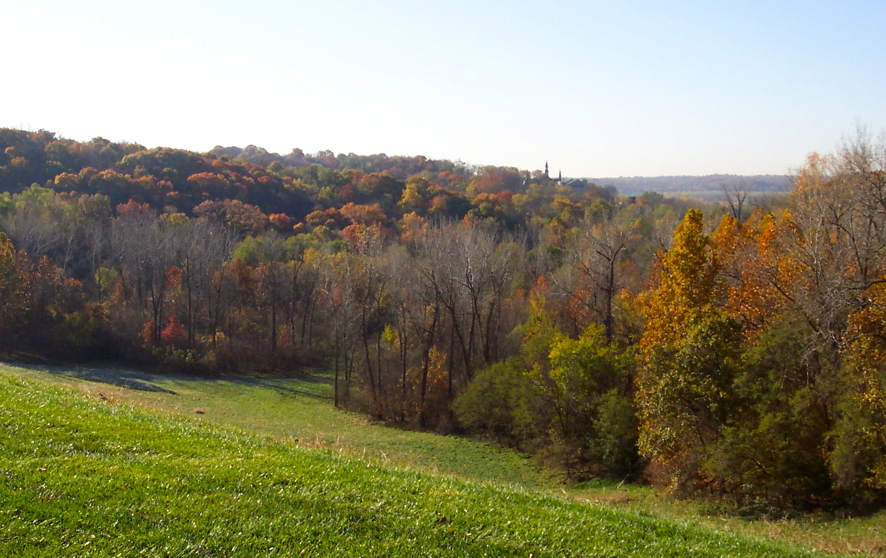 Nature Sanctuary