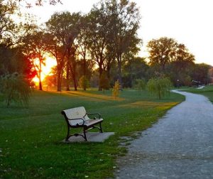 Bench on trail in English Landing Park by Drew Bryan