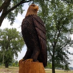 ELP Eagle Carving